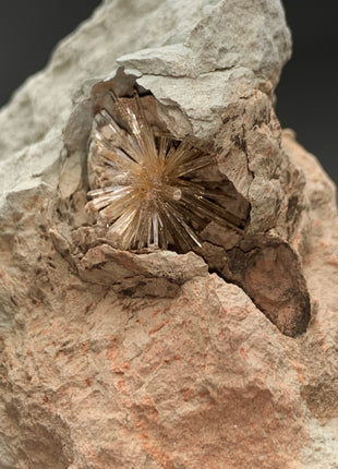 New ! Bursting Sun Aragonite Ball in Cluster - From Pantoja, Spain