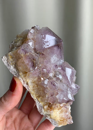 Wow ! Cactus Quartz with Big Crystals - From South African Republic