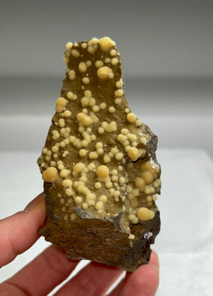 Botryoidal Calcite from Montalto di Castro, Italy