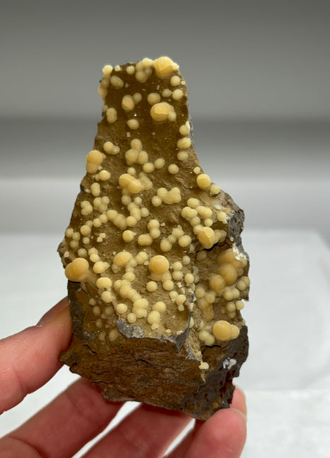 Botryoidal Calcite from Montalto di Castro, Italy