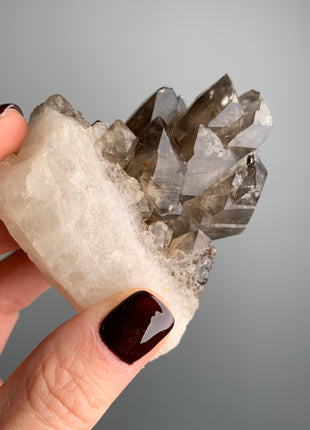 Elestial Smoky Quartz on White Quartz - From Namibia