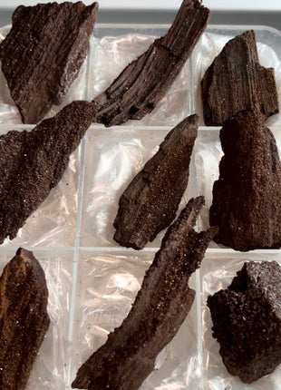 9 Piece Lot ! Rare Permineralized Fossil Wood with Quartz - From Germany