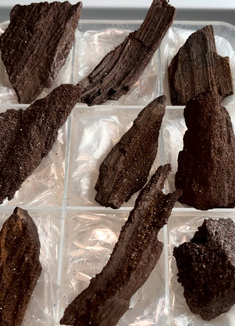 9 Piece Lot ! Rare Permineralized Fossil Wood with Quartz - From Germany