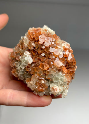 4 Piece Lot ! Aragonite Disco Ball Specimens