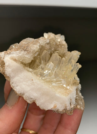 Gemmy Selenite from Zaragoza Spain