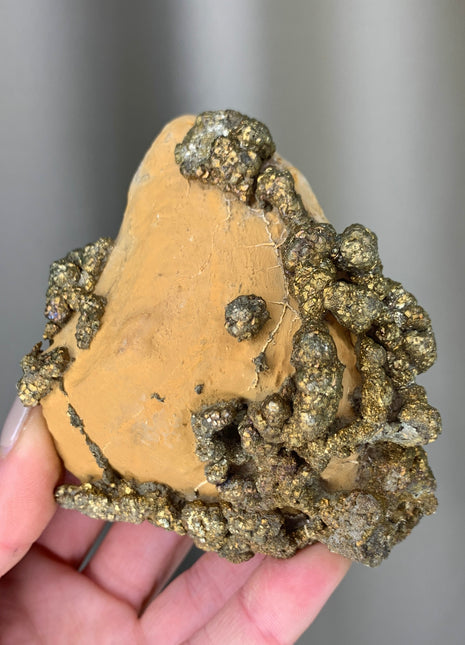 Wild ! Pyrite on Rock Matrix Specimen