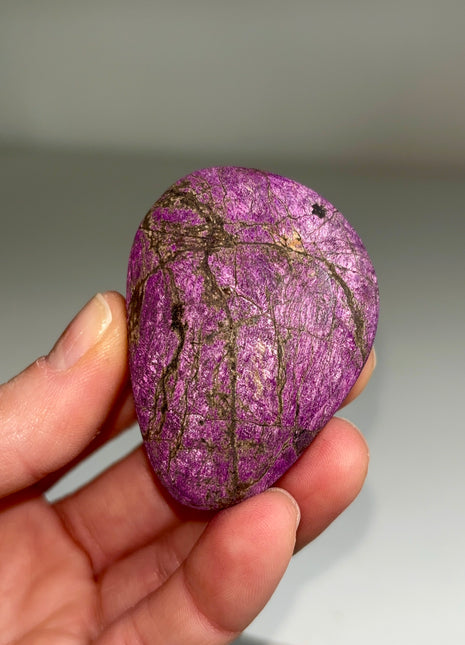 Velvet Purpurite