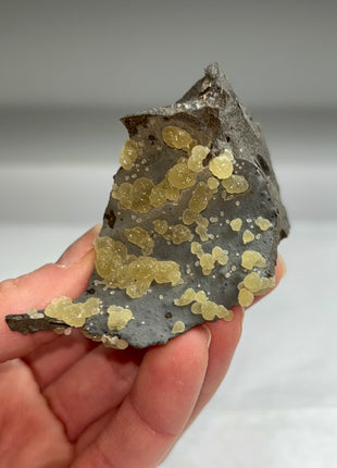 Botryoidal Calcite from Montalto di Castro, Italy