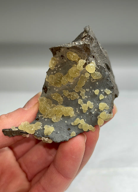 Botryoidal Calcite from Montalto di Castro, Italy