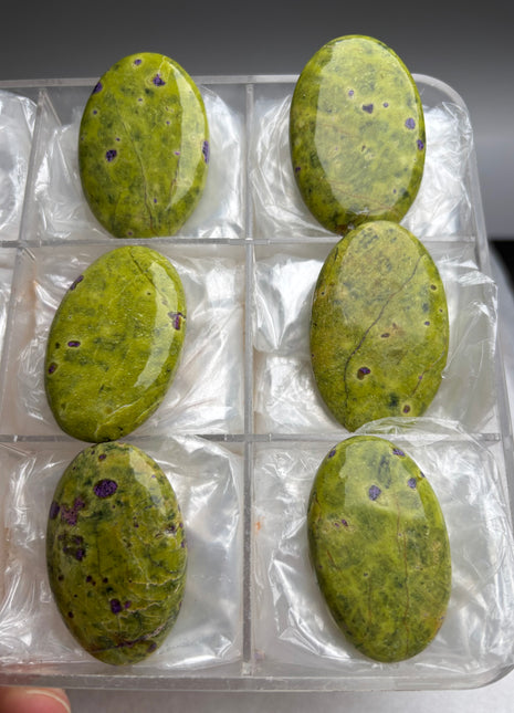 6 Piece Lot ! Atlantisite from Australia