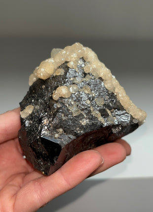 Large Sphalerite Crystal with Calcite - Trepca mine, Kosovo