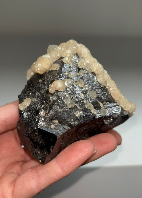 Large Sphalerite Crystal with Calcite - Trepca mine, Kosovo