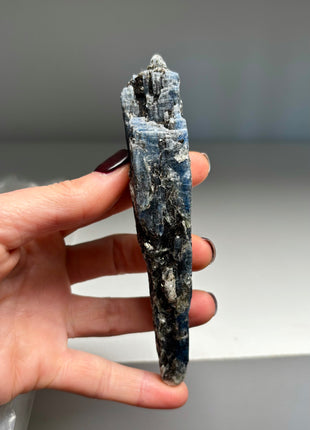 XL Size Blue Kyanite with Mica - From Zambia - 6 Pieces