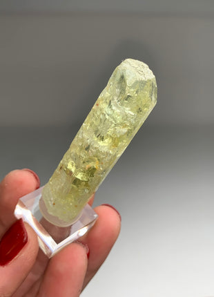 Yellow Heliodor - Padre Paraiso, Brazil - Collection # 155 *