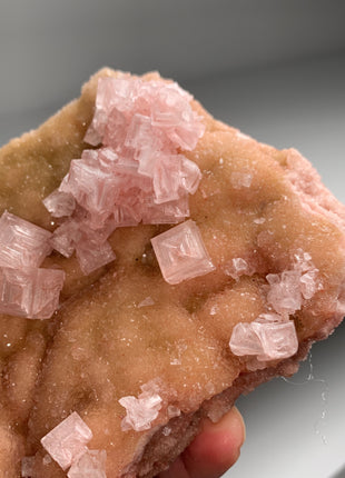 New ! Pink Halite with Great Crystallization - from Searles Lake, California