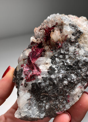 Magenta Red Erythrite with Quartz- From Agoudal mine