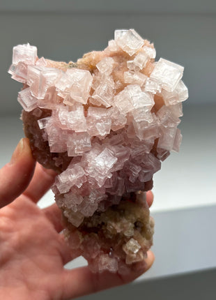 New find ! Green and Pink Halite - from Owens Lake, California