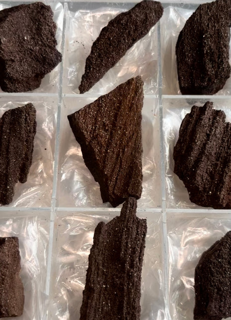 9 Piece Lot ! Rare Permineralized Fossil Wood with Quartz - From Germany