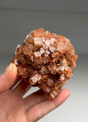 4 Piece Lot ! Aragonite Disco Ball Specimens