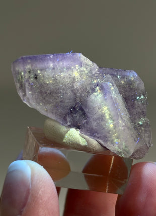 New Arrival ! Galaxy Fluorite