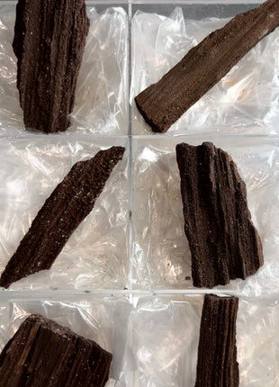 6 Piece Lot ! Rare Permineralized Fossil Wood with Quartz - From Germany