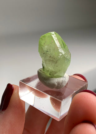 Green Diopside - Merelani Hills, Tanzania