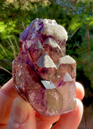 Amethyst Scepter with Druzy Quartz PM1256