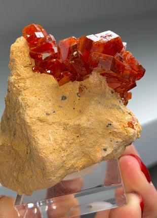 Red Vanadinite on Matrix - Collection # 021