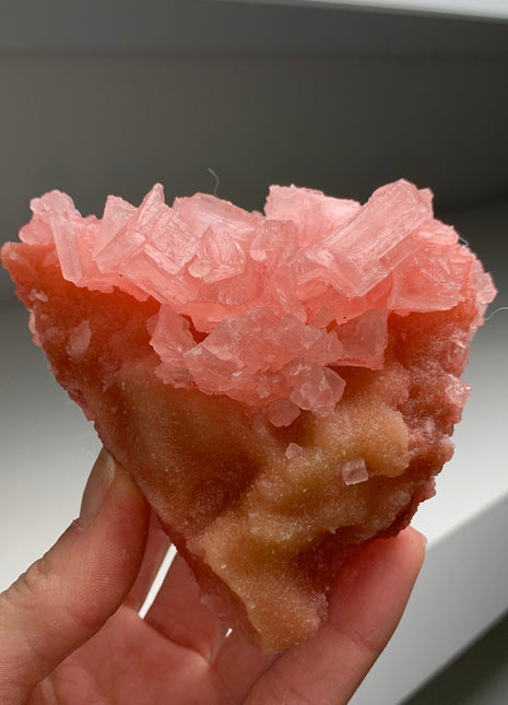 Pink Halite with Great Crystallization - from Searles Lake, California