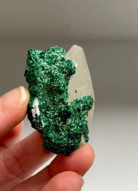 New find ! Calcite with Velvety Malachite from Congo