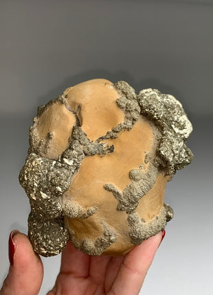 Unusual ! Pyrite on Rock Matrix Specimen