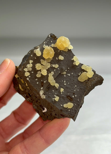 Botryoidal Calcite from Montalto di Castro, Italy