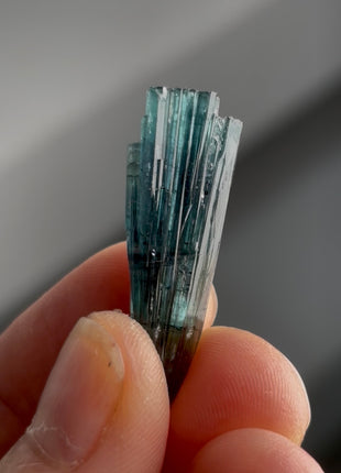 Blue Tourmaline Bunch PM1344