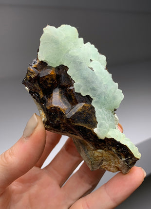 Wow ! Andradite Garnet with Apple Green Prehnite