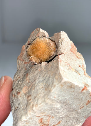 Bursting Sun Aragonite Ball in Cluster - From Pantoja, Spain