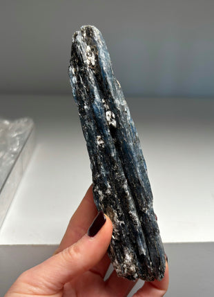 XL Size Blue Kyanite with Mica - From Zambia - 6 Pieces