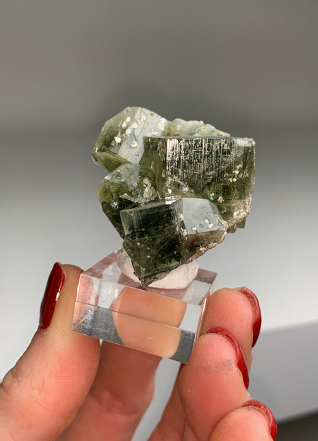 Green Apatite from Panasqueira mine PM047
