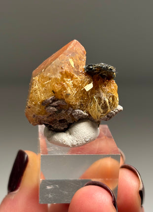 Quartz with Rutile and Hematite - from Novo Horizonte