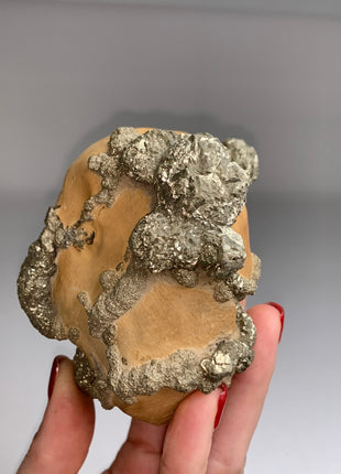 Unusual ! Pyrite on Rock Matrix Specimen