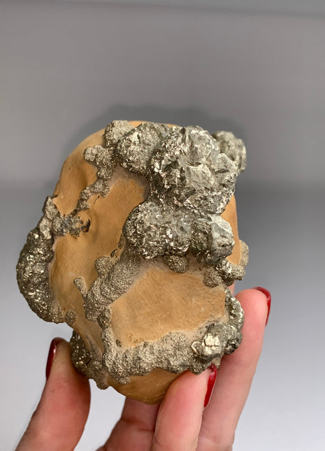 Unusual ! Pyrite on Rock Matrix Specimen