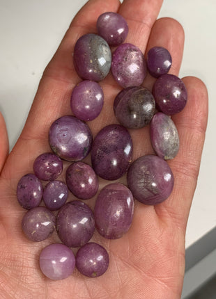 20 Pieces ! Flashy Ruby and Sapphire Lot - 310 Carats