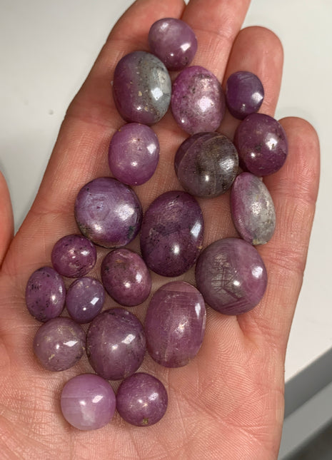 20 Pieces ! Flashy Ruby and Sapphire Lot - 310 Carats