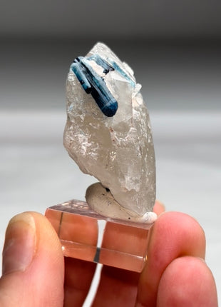 Blue Indicolite Tourmaline with Quartz