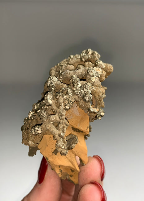 Unusual ! Pyrite on Rock Matrix Specimen