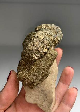 Unusual ! Pyrite on Rock Matrix Specimen