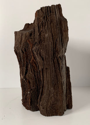 Stunning and Rare Permineralized Fossil Wood with Quartz From Germany - 8.2 kgs ! *