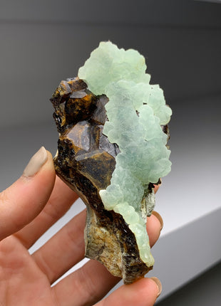 Wow ! Andradite Garnet with Apple Green Prehnite