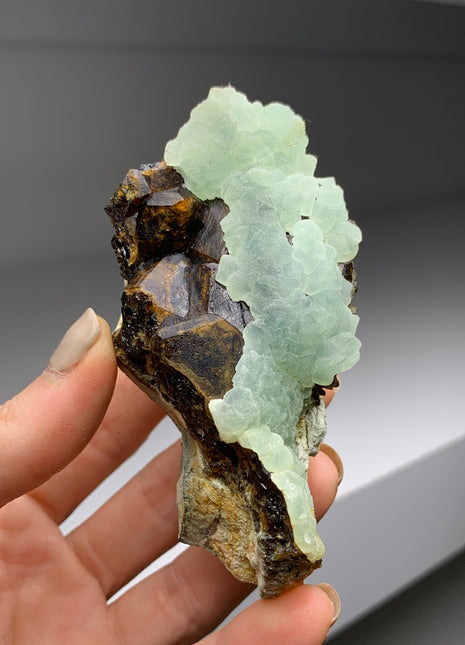 Wow ! Andradite Garnet with Apple Green Prehnite