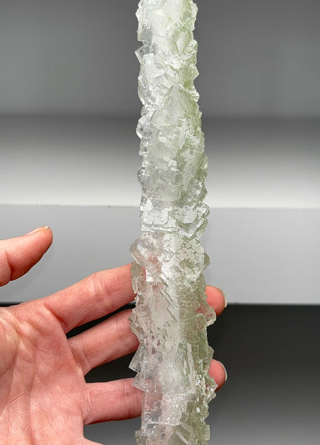 Wow ! 8” Green Halite Stalactite - From Lubin mine, Poland