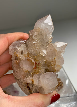 Cactus Quartz Smoky Amethyst Clusters Lot From South African Republic - 9 Pieces !